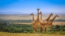 LAKE NAIVASHA – MAASAI MARA